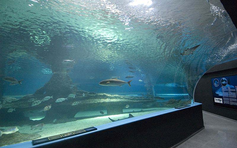 aquarium roquetas de mar