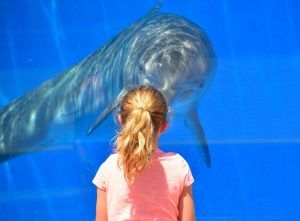 Aquarium